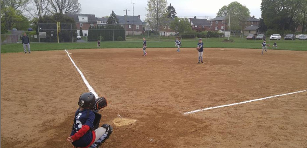 Wyomissing Area Softball